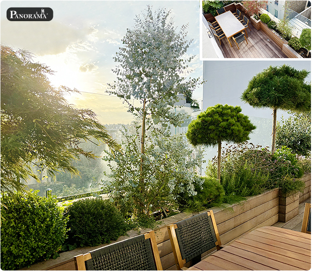 triplex luxe paris 16 terrasse bois itauba vegetaux arrosage automatique panorama terrasses arbres terrasse